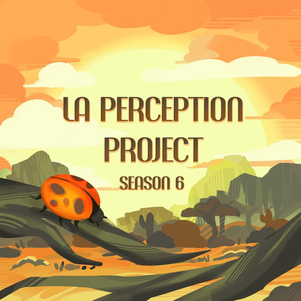 LA PERCEPTION PROJECT